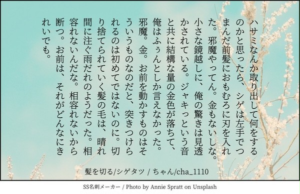 【SS名刺メーカー】シゲタツごちゃまぜ①