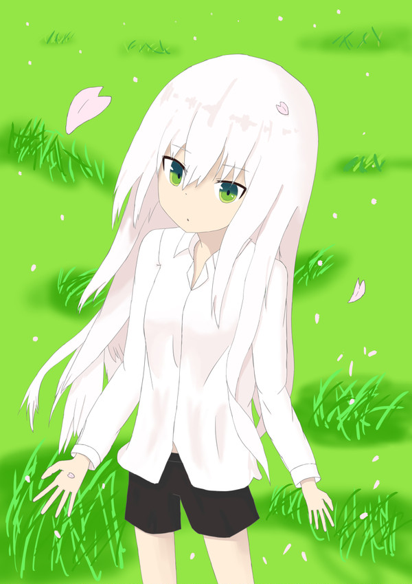 白髪と桜