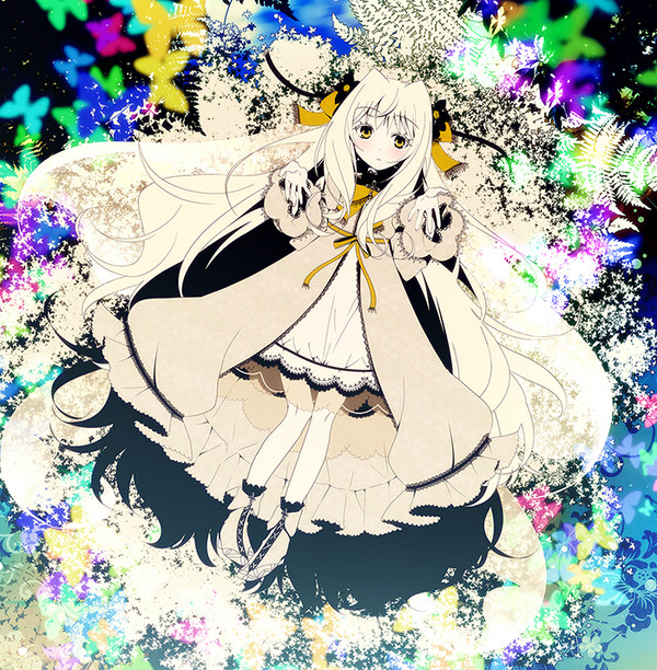 ニルハナ　ブックケース予約開始です～