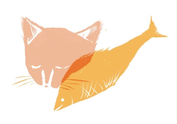 猫と魚