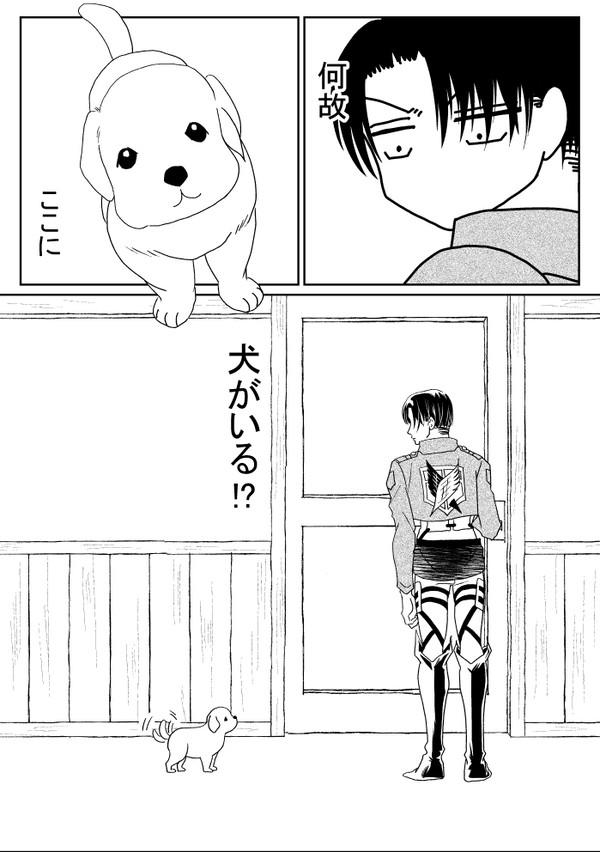 犬と兵長