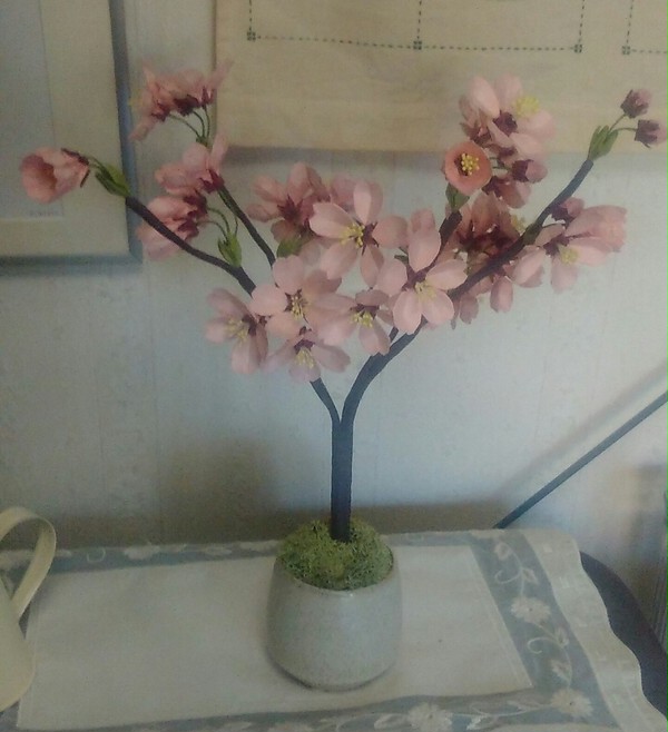 桜