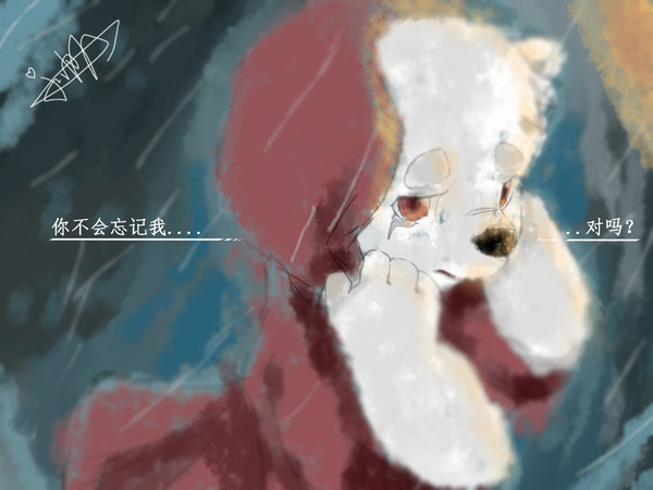 波乐熊x