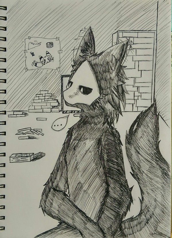 尝试