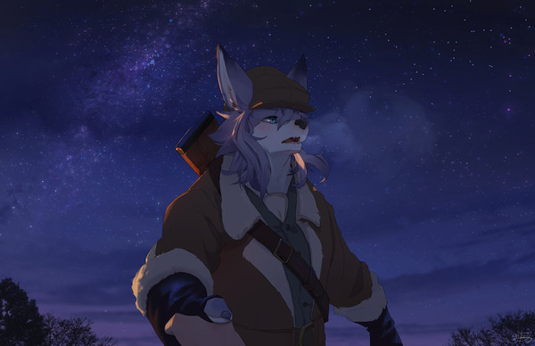 Starry sky