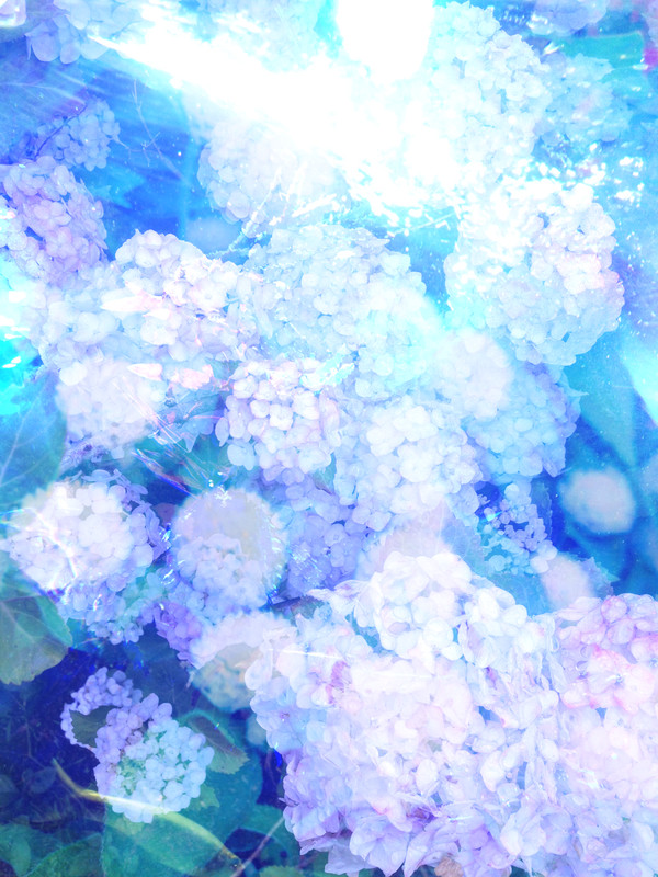 水中花