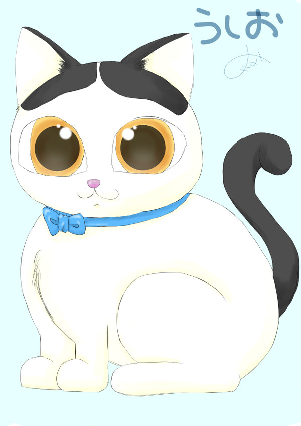うたん
