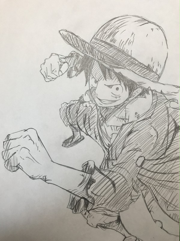 ルフィ誕生日おめでとう🎊