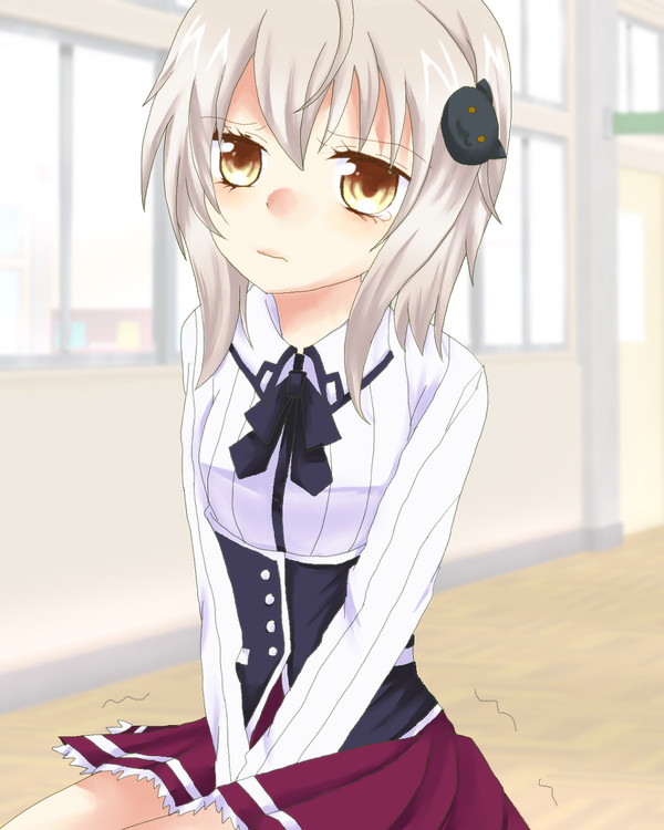 小猫
