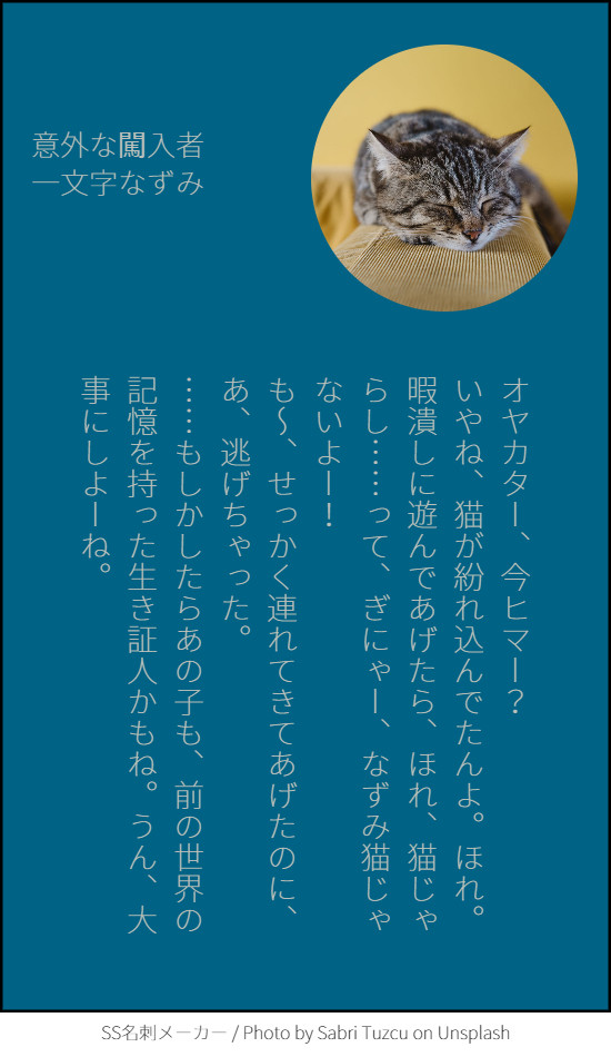 【二次創作】しんけん!!の名刺メーカーSS　その３【注意】