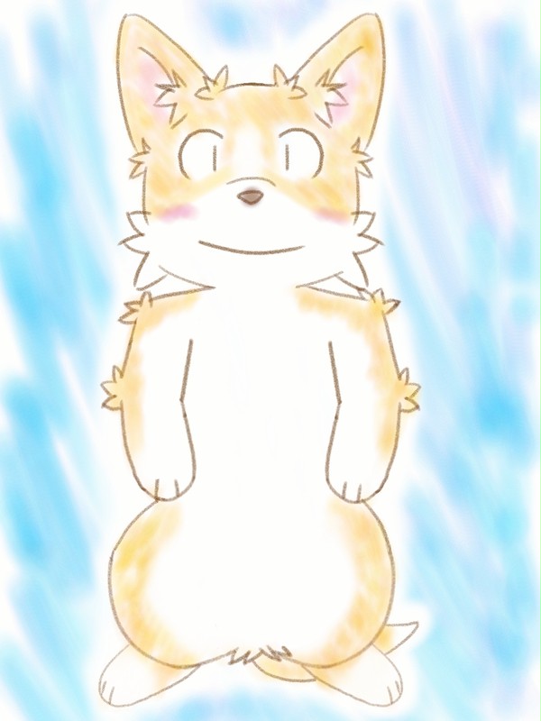イヌのウェルス