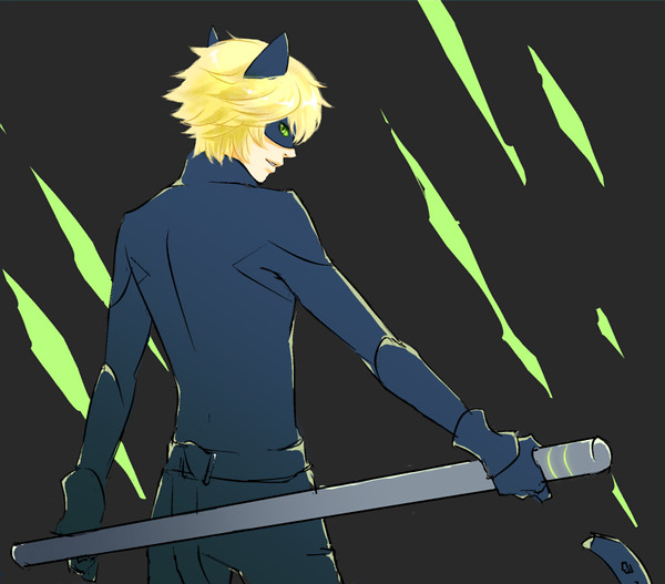 Cat Noir
