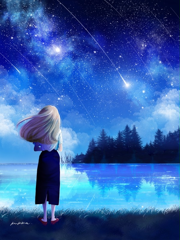 流れ星の夜に