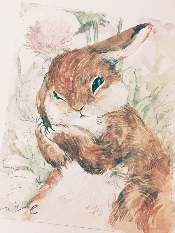 野うさぎとアザミ