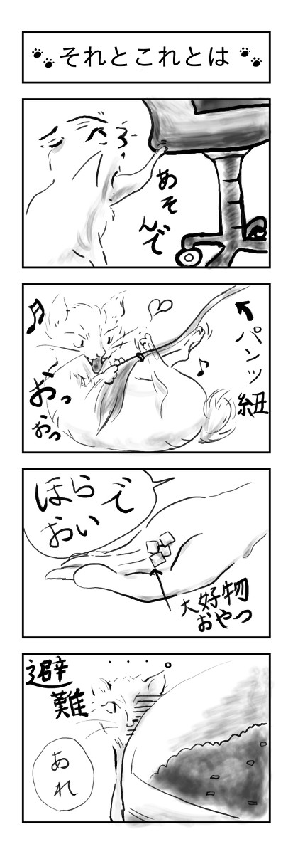 ねぇ、ふーちゃん！