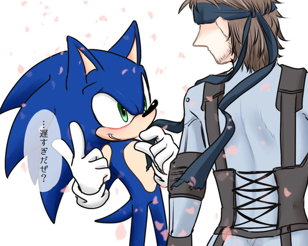 【腐】ソニスネまとめ12