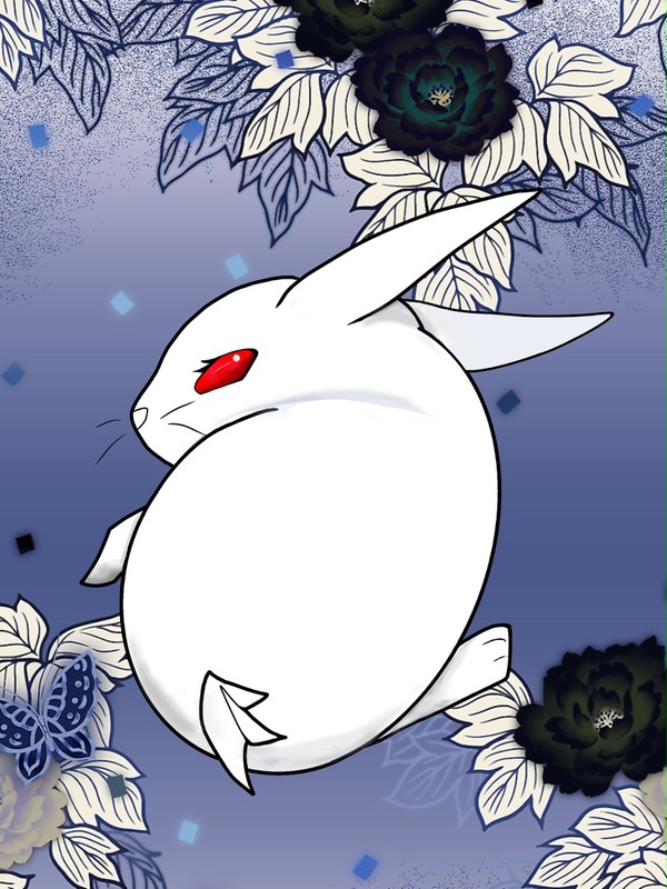 白兎