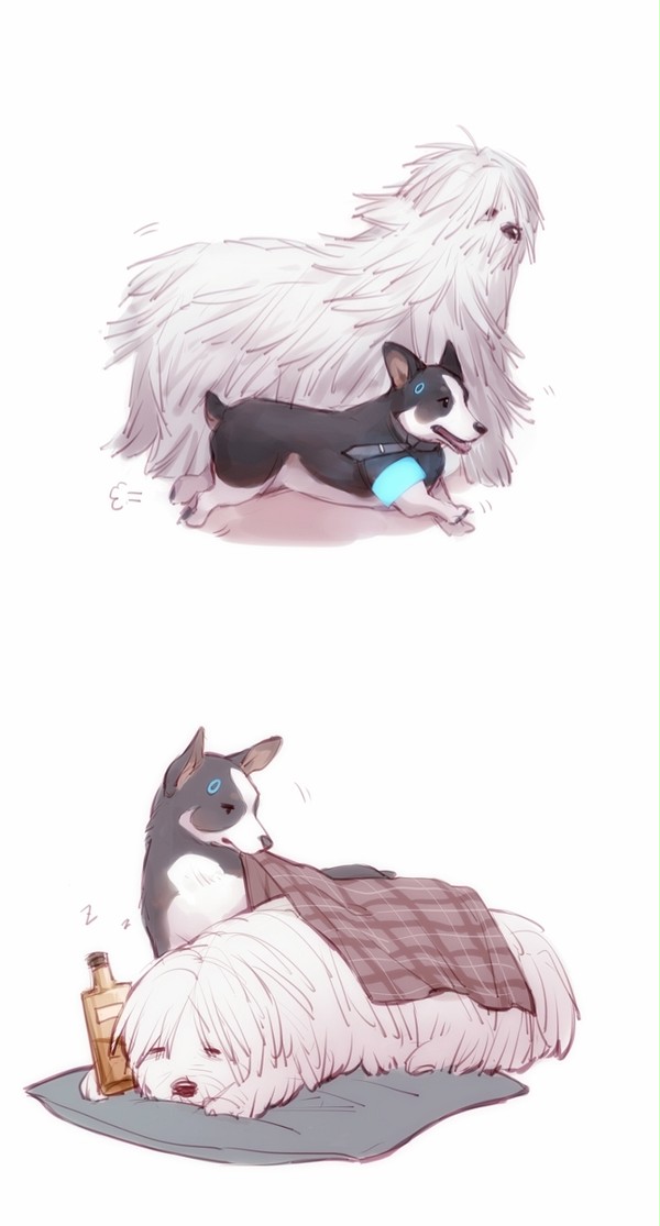 🐶