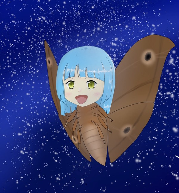 蛾