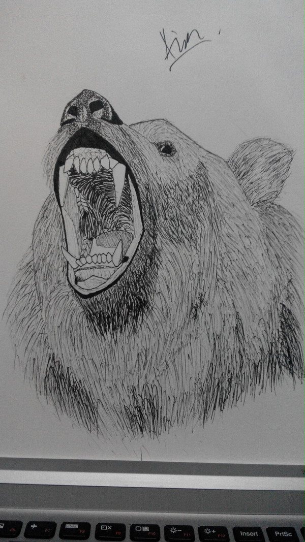 Roaring Bear