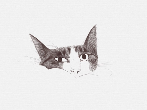 chat