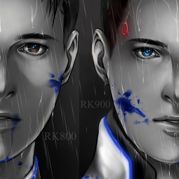 RK900 and RK800