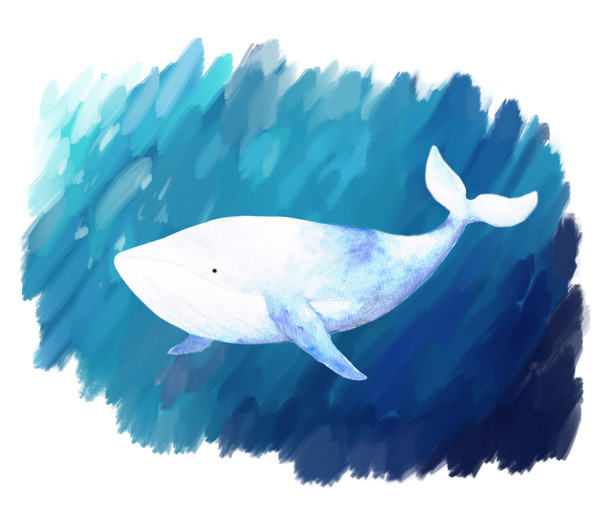 クジラ