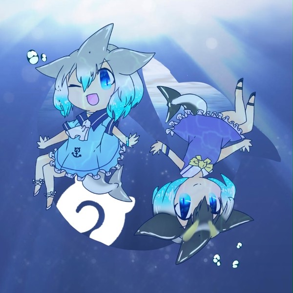 ドルカとマルカ