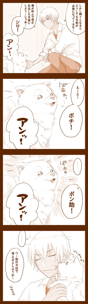 安室と犬(※若干ゼロ日バレ)