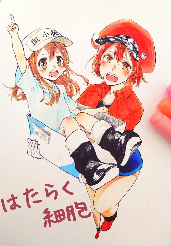 赤血球さんと血小板ちゃん