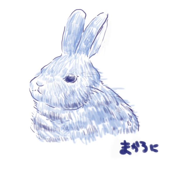 うさぎ