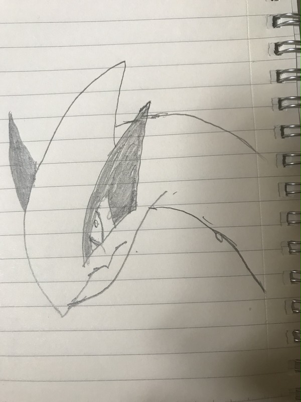 ルギア書いて見ました！！