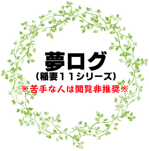 【夢主】稲妻ログ2【注意】