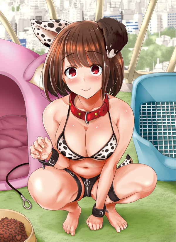 ゼロから始めるSMマニュアル 女の子ペット化計画