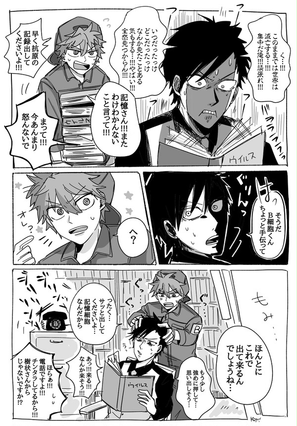 B細胞と記憶細胞