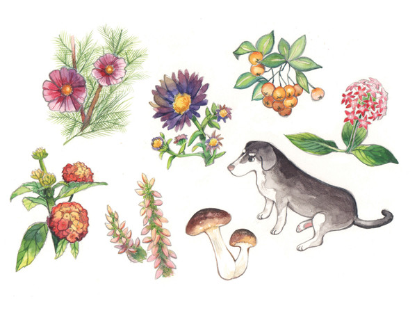 MY WATER COLOR BOOK 02