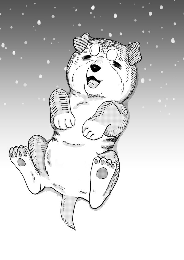 ginga11