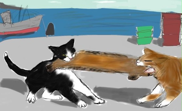 魚の引っ張り合い