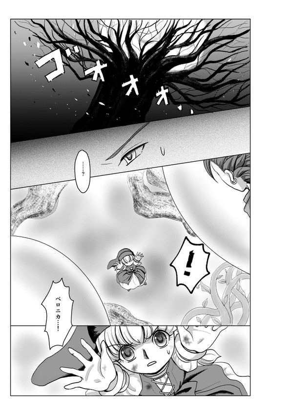 貫かれた想いの行方(カミュベロ)