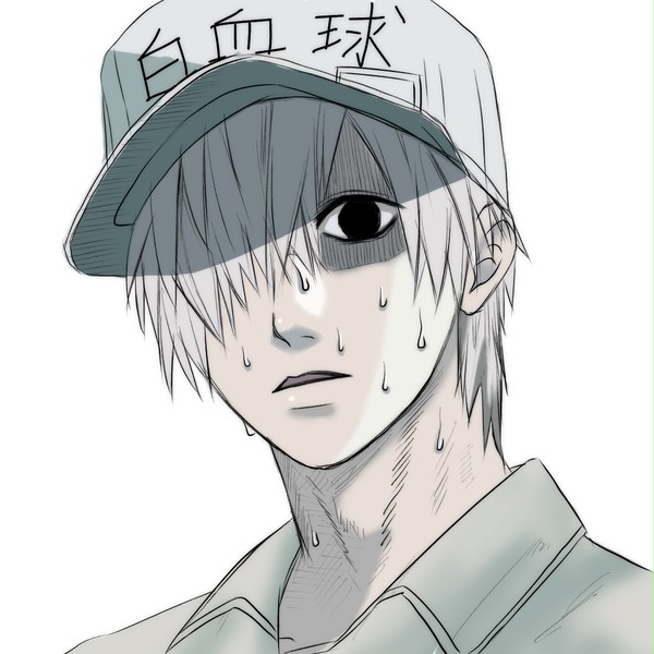 はたらく細胞 白血球さん②