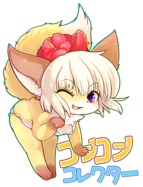 コンコンコレクター