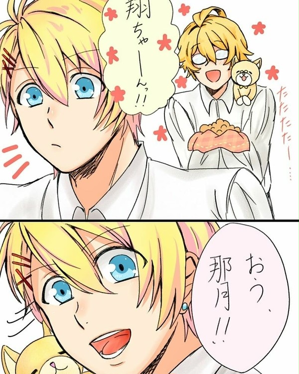 題:悲劇～ピヨちゃんのクッキー～