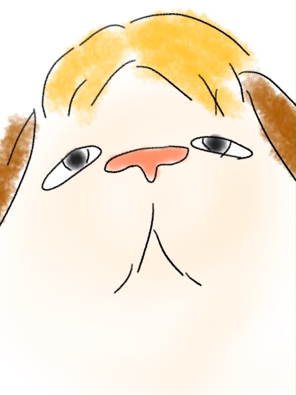 ヒン(概念)