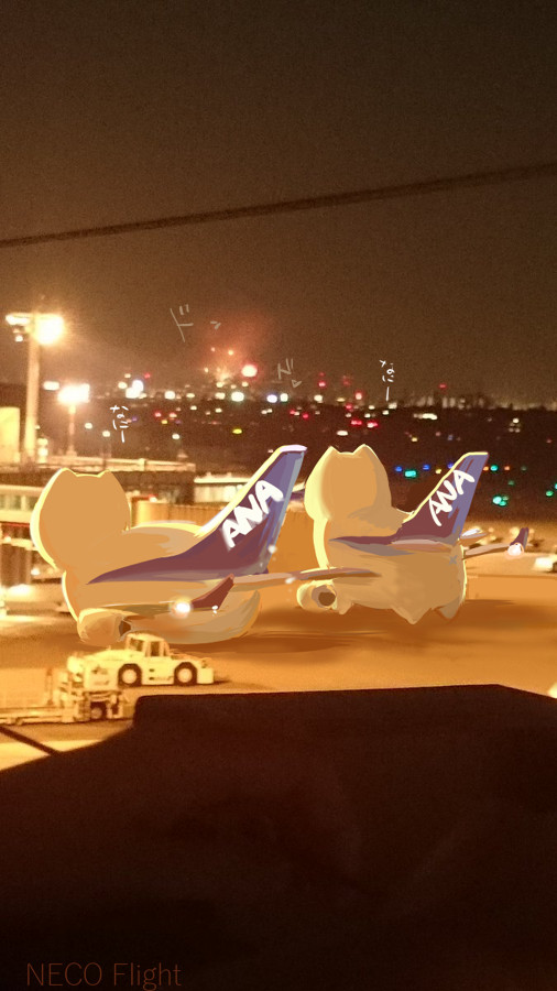 飛行機猫まとめ④