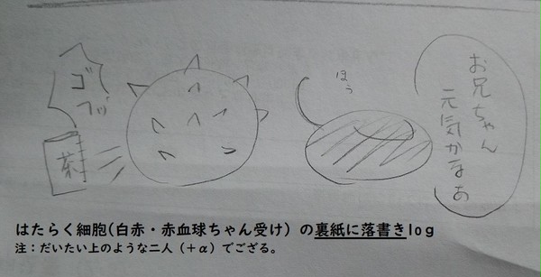 白赤(＋α) log1