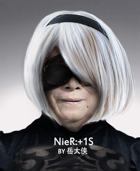 NieR:+1S