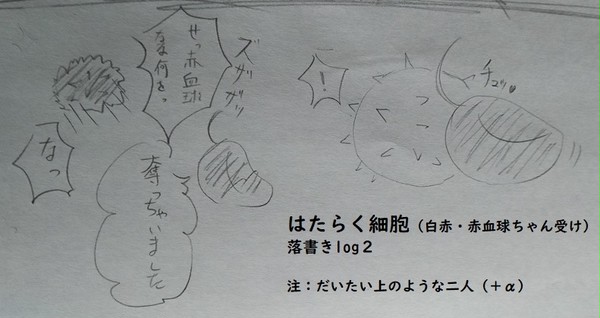 白赤(＋α) log2