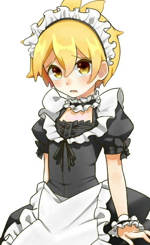 【阿神kouki】女僕