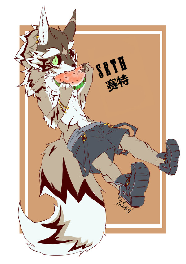 赛特