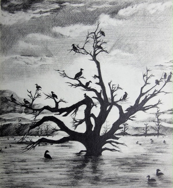 树